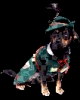Costum ROBIN HOOD